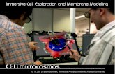 Immersive Cell Exploration and Membrane Modeling - BTU · PDF fileImmersive Cell Exploration and Membrane Modeling ... Light Microscopy Confocal Microscopy ...   DAWIS-M.D.