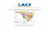 Community Mobilization Assessment Report - ACF- · PDF fileCommunity Mobilization Assessment Report Damaturu and Fune LGAs, Yobe State Nigeria ... of over 800,000 children at risk