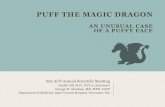 PUFF THE MAGIC DRAGON THE MAGIC DRAGON AN UNUSUAL CASE OF A PUFFY FACE MA ACP Annual Scientific Meeting Gurbir Gill, M.D.,PGY-3(Associate) George M. Abraham, MD, MPH, FACP ... PRESENTATION