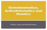 Osteokinematics, Arthrokinematics and Kinetics - MCCCbehrensb/documents/BiomechanicsKineticsCh1.pdf · Osteokinematics, Arthrokinematics and Kinetics Planes, ... The convex joint
