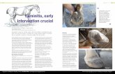 At Mayfield we may well Laminitis, early intervention crucial · PDF filePage 54 • HORSES and PEOPLE • Phone: 07 5467 9796 • admin@    • HORSES and