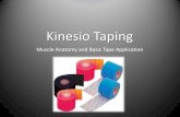 Kinesio Taping - FitPOWER · PDF fileThe method of kinesio taping is derived from the science of kinesiology and ... • Rib subluxation • Stiff shoulder ... Posterior surface of