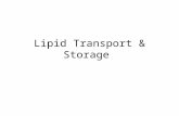 [PPT]Lipid Transport & Storage - Welcome to qums - qumseprints.qums.ac.ir/1313/1/Lipid Transport & Storage.pptx · Web viewBIOMEDICAL IMPORTANCE Fat Diet Synthesized (liver & adipose