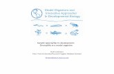 Genetic approaches to development: Drosophila as a · PDF fileGenetic approaches to development: Drosophila as ... Model Organisms and Innovative Approaches ... 64-67; Starz-Gaiano