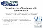 Toxicokinetics of imidacloprid in rainbow trout of imidacloprid in rainbow trout John A. Frew1, ... • Conduct mass-balance analysis • Contribution of mechanisms to overall clearance.