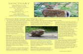 Newsletter of the White Memorial Conservation Center · PDF fileappears to be abandoned, ... Director of Education, White Memorial Conservation Center ... among other wild animals,