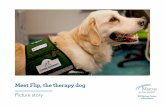 Meet Flip, the therapy dog - Marcus Autism · PDF fileMeet Flip, the therapy dog ... dog that visits with children at Marcus Autism Center. Flip wears a green vest. This special ...