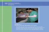 FORCE 5 Professional Models of Care - Nursing - Mass · PDF fileFORCE 5 Professional Models of Care ... and advancement, ... The Norman Knight Nursing Center for Clinical & Professional