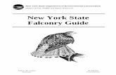 New York State Falconry Guide York State Falconry Guide. Andrew M. Cuomo ... THE BIRDS USED IN ... A records check will be conducted by the United States Fish and Wildlife …