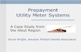 Prepayment Utility Meter Systems - US Department of · PDF filePrepayment Utility Meter Systems ... water, sewer, waste, cable etc ... Prepayment Utility Meter Systems Subject: A case