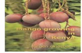 MANGO GROWING IN KENYA - World Agroforestry · PDF fileand urban nutrition through fresh and dried fruits. Enjoy the mango fruit and enjoy ... only a few consumers and potential ...
