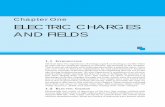 Chapter One ELECTRIC CHARGES AND FIELDSsimilphysics.weebly.com/uploads/2/1/3/8/21385532/chapter_1.pdfthis is due to generation of static electricity. ... discuss in this and the next