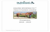 EQUINE MYOPRACTIC PRACTITIONER COURSEanimalmechanics.com/downloads/Course_Prospectus.pdf · EQUINE MYOPRACTIC™ PRACTITIONER COURSE ... shiatsu and acupressure techniques are also