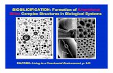BIOSILICIFICATION: Formation of Amorphous … Biomaterials...BIOSILICIFICATION: Formation of Amorphous Silica Complex Structures in Biological Systems ... PAM-co-AA O O CH 2OH OH OH