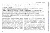Morphology and pathogenesis of desquamative interstitial ...thorax.bmj.com/content/thoraxjnl/32/1/7.full.pdf · interstitial pneumonitis1 ... aldehydeandMillonig's fixative (Pease,