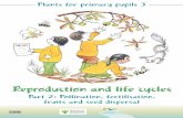 Part 2: Pollination, fertilisation, fruits and seed dispersal book... · Plants for primary pupils 3 Reproduction and life cycles Part 2: Pollination, fertilisation, fruits and seed