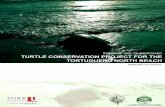 Turtle Conservation Project for · PDF fileTurtle Conservation Project for the Tortuguero North Beach ... Tortuguero river mouth on Costa Rica’s Caribbean coast. The project began