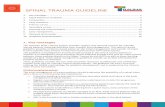 SPINAL TRAUMA GUIDELINE Trauma... · The Victorian State Trauma System ... High cervical injuries potentiate loss or compromise of both gag ... Version 1.0 - 25/09/2014 Spinal Trauma