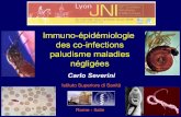 Immuno-épidémiologie des co-infections paludisme … 4 4 Leishmaniasis 1 1 ... Trachoma Tripanosomiasis ... i n f l u e n c e o f s u c h c o -i n f e c t i o n s o n t h e p a t