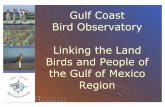 Gulf Coast Bird Observatory Linking the Land Birds and ...txmn.org/cradle/files/2010/09/TP_Hawk_Migration.pdf · Gulf Coast Bird Observatory Linking the Land ... web-based data entry/access