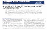 CRIME AND JUSTICE - · PDF fileContemporary Issues in Crime and Justice Number 187 ... Rather than recapitulate their observations in detail, ... or regression study categories. For