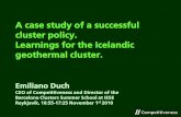 A case study of a successful cluster policy. Learnings for ... · PDF fileA case study of a successful cluster policy. Learnings for the Icelandic ... and strategy State of ... Nestle