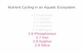 2.1 Productivity 2.2 Oxygen 2.3 Salinity 2.4 Carbon 2.5 ... to 29.pdf · Nutrients – phosphorus cycle ... Limnology. McGraw Hill. • The whole phosphorus cycle. Iron in Fresh Waters