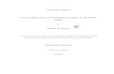 Critical Behavior in Gravitational Collapse of the · PDF fileCritical Behavior in Gravitational Collapse of the Scalar ... separating solutions with black hole formed in the ... Chapter