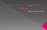 Farm Animals and Their Babies - Daemen College · PDF fileknowledge of farm animals and their babies by matching the adult animal to their baby. ... My Baby” worksheet with 90-100%