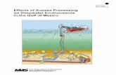 Effects of Subsea Processing on Deepwater … Study . MMS 2008-022 . Effects of Subsea Processing on Deepwater Environments in the Gulf of Mexico . U.S. Department of the Interior.