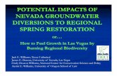 POTENTIAL IMPACTS OF NEVADA GROUNDWATER  · PDF filePOTENTIAL IMPACTS OF NEVADA GROUNDWATER DIVERSIONS TO REGIONAL SPRING RESTORATION or How to Fuel Growth in