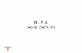 RUP & Agile (Scrum) - University of Waterlooa78khan/courses-offered/cs446/2010_05/... · RUP – Lifecycle Phases Inception vision document – scope the system – identify major