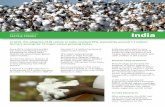 India - ISAAA. · PDF fileSince 2015, India is the world’s top cotton producing country, surpassing 35 million bales despite the slowed down global cotton market. For the first time