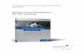 Business Process Management - the SAP Roadmap · PDF fileBusiness Process Management — the SAP ... 15 SAP´s View on Business Process Management ... 9.1 Create Basis