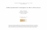 Informational Contagion in the Laboratory · PDF file · 2015-06-18Informational Contagion in the Laboratory Marco Cipriani Antonio ... Federico Tagliati Sven Fischer Staff Report