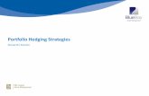 Portfolio Hedging Strategies - · PDF fileIn order to optimise portfolio hedging strategies, ... • hedging as part of portfolio management . 13 ... provide investment or other advice