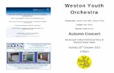Weston Youth Orchestrawestonyouthorchestra.org.uk/documents/programmes/… ·  · 2017-11-10The original score of Fauré’s Pavane was written for Piano and Chorus in ... Oscar