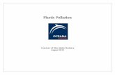 Plastic Pollution - T.A.  · PDF filePlastic Pollution This module1 is ... Coastal cleanups can cost a lot of money Areas littered with plastic look unhygienic and ugly