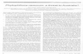 researchrepository.murdoch.edu.auresearchrepository.murdoch.edu.au/id/eprint/1315/1/Phytophthora... · ppdl/hot04/3-15misc/news/news by_date.html Regelbrugge, C (2003) Sudden oak