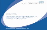 Ranibizumab and pegaptanib for the treatment of wet age · PDF file · 2013-02-19Ranibizumab and pegaptanib for the treatment of age-related macular degeneration NICE technology appraisal