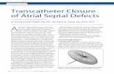 STRUCTURAL DISEASE Transcatheter Closure of Atrial …citoday.com/pdfs/cit0316_SF2_Asgar.pdf · shape is designed to center the device in the primary defect, while also occluding