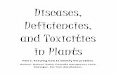 Diseases, Deficiencies, and Toxicities in Plants in lettuce.pdfDiseases, Deficiencies, and Toxicities in Plants Part 1: Knowing how to identify the problem. ... the shipping process.