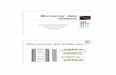 Microarray data analysis - ULisboa · PDF fileMicroarray data analysis DNA polymer: ... detect complementary DNA strands ... Sort each column in the data matrix according to
