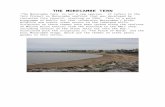 l   file · Web viewCormorants on the Stone Jetty. Cormorants on a traffic island near The Platform. Text and photographs – Gordon Clark