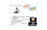 Cells - rtmsd.org · PDF fileDiscovery of Cells • Robert Hooke ... Cell Theory •Living things are ... Prokaryotic Cell Eukaryotic Cell Eukaryotic Cells •In this unit we will