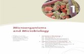 Microorganisms and Microbiology - · PDF file · 2014-04-09Microorganisms and Microbiology 1 Bacteria, ... the effects that microorganisms have in medicine, ... ships with other organisms,