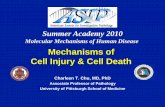 Mechanisms of Cell Injury & Cell Deathaz9194.vo.msecnd.net/pdfs/100602/001.pdf · Physical/chemical agents - not always lethal! ... may also regulate cellular adaptation, ... injurious