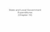 State and Local Government Expenditures (Chapter …plaza.ufl.edu/umutozek/teaching_files/ECO4504_files/...State and Local Government Expenditures- Background • Example: Bush administration’s
