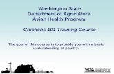 Chickens 101 Training Course - Avian Health Program · PDF fileIntegumentary System • The skin, feathers and beak ... – Nipple drinkers or rabbit type drinkers reduce the spread