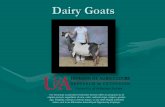 Dairy Goats - uaex.edu - University of Arkansas Division ... Goats General... · PDF fileDairy Goats The Arkansas ... milk of goats than any other single animal. ... Its color is